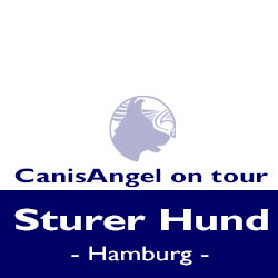 Sturer Hund Hamburg