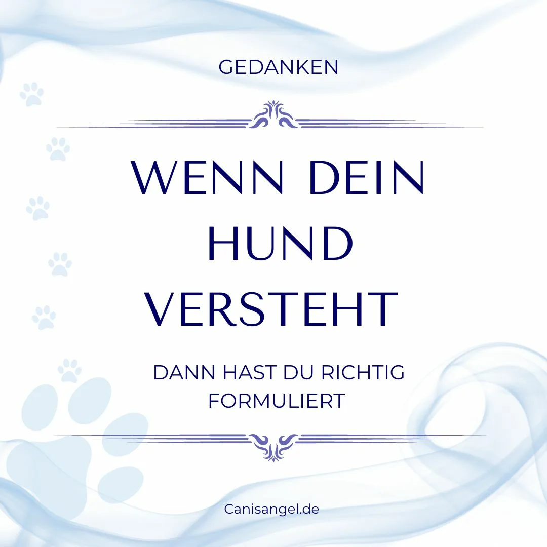 Hund verstehen lernen