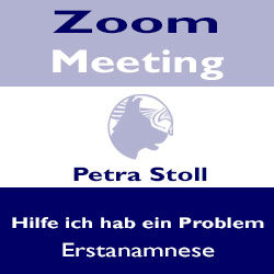 Zoom Meeting
