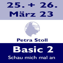 Basic 2 - Bensheim
