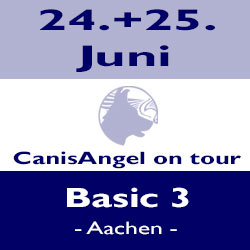 Basic 3 - Aachen
