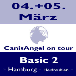 Basic 2 - Hamburg