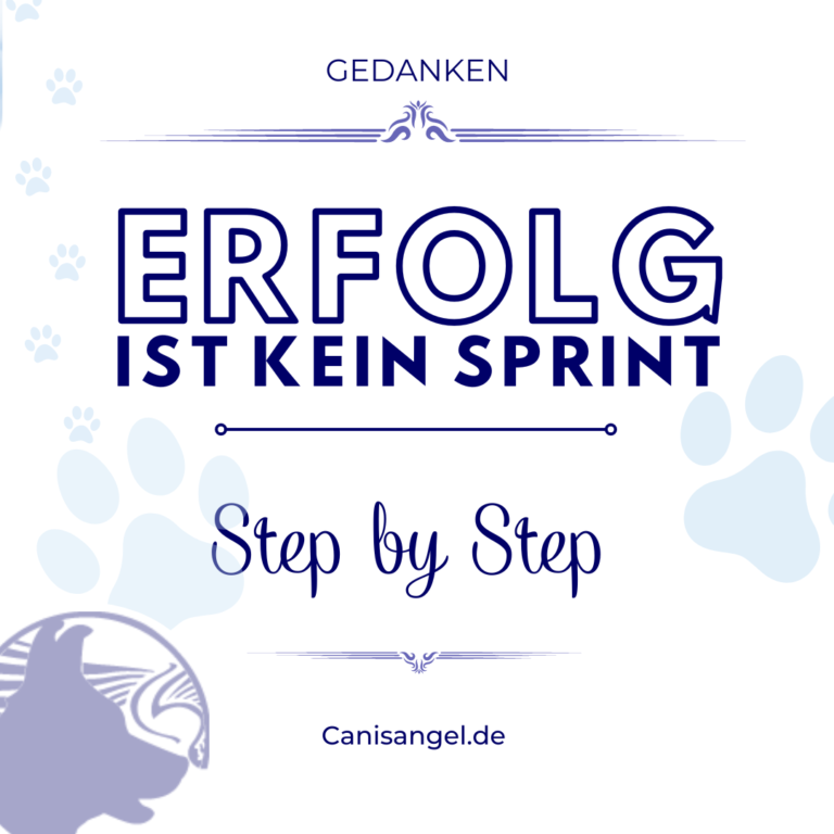 Erfolg ist kein Sprint