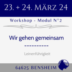 24-03-23+24 | Bensheim | Modul 2 | Wir gehen gemeinsam!! | 2-Tage