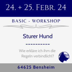 24-02-24+25 | Bensheim | Basic | Sturer - Hund | 2-Tage