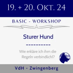 24-10-19+20 | Zwingenberg | Basic | Sturer - Hund | 2-Tage