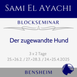 Blockseminar - Der zugewandte Hund