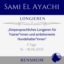 Longieren für Trainer mit Sami El Ayachi