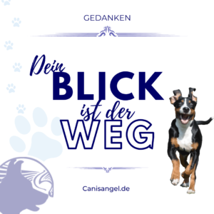 Dein Blick ist der Weg