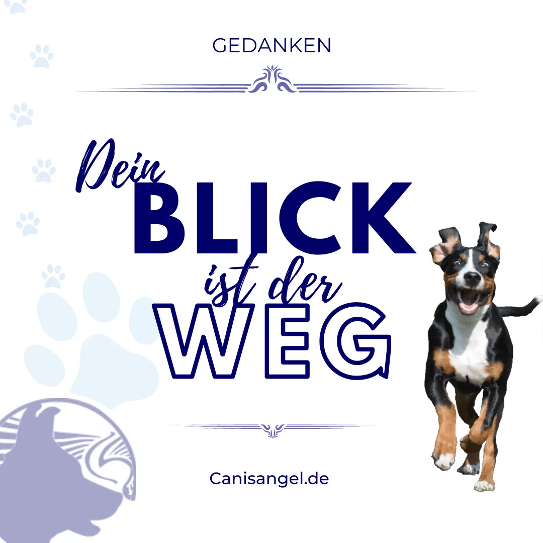 Dein Blick ist der Weg