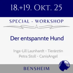 Der entspannte Hund