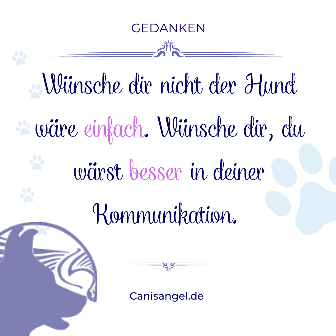Einfach besser