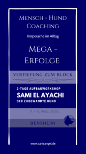 Aufbau mit Sami El Ayachi