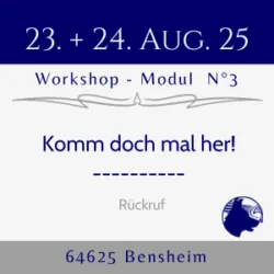 Rückruf Hund Seminar
