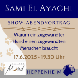 Abendvortrag mit Sami El Ayachi