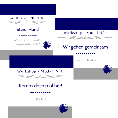 Workshop Reihe Kommunizieren statt dominieren