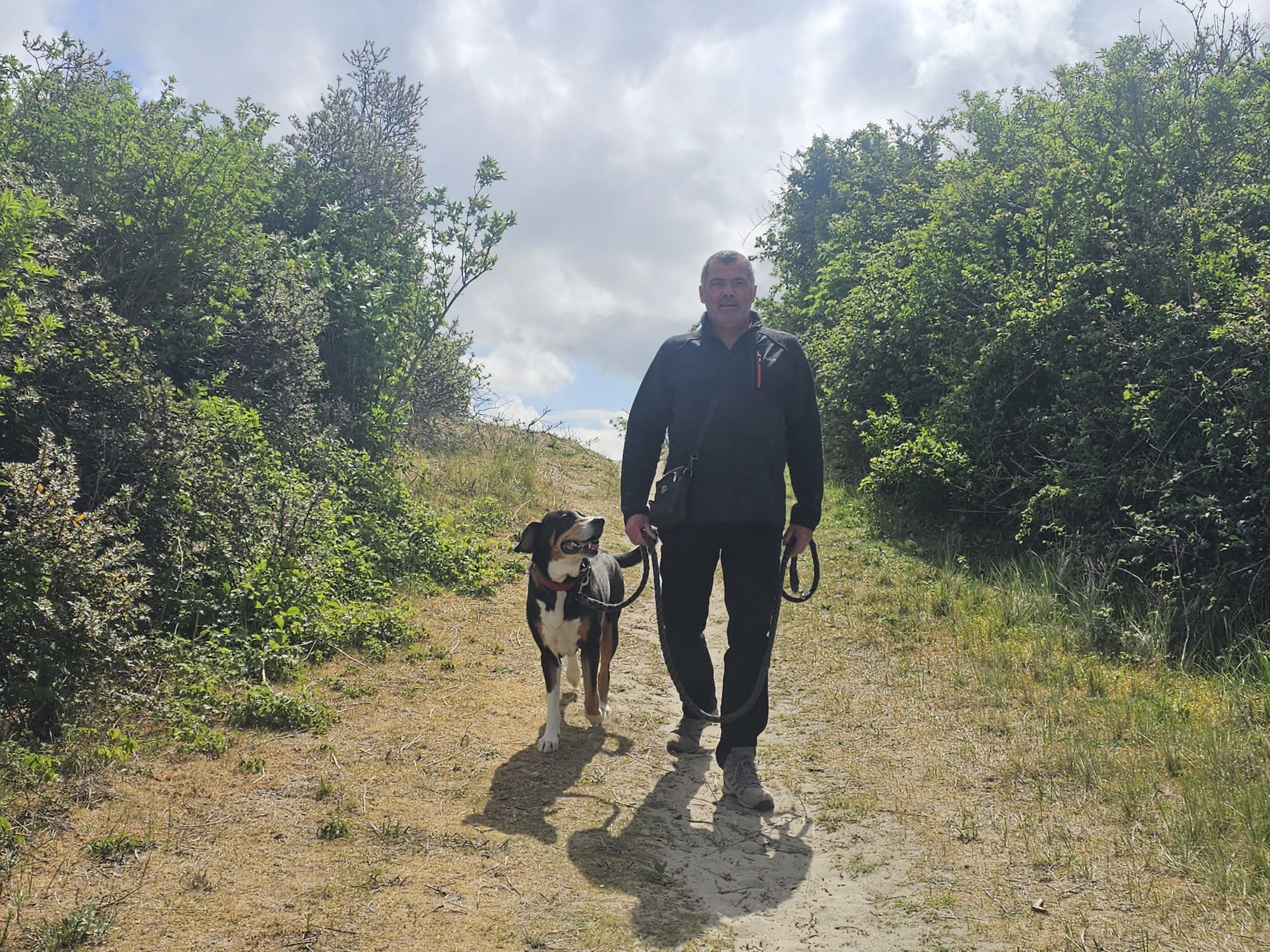 ein zugewandter hund