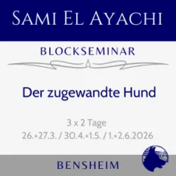 Der zugewandte Hund mit Sami El Ayachi