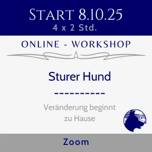 Sturer Hund Online-Workshop – Veränderung beginnt zu Hause.