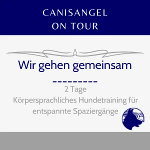 Wir gehen gemeinsam - Leinenführigkeit