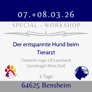 entspannter Hund im März