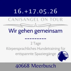 Wir gehen gemeinsam