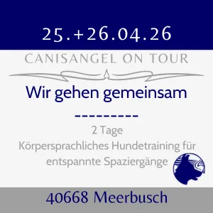 CanisAngel on tour meerbusch