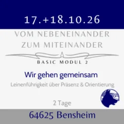 Modul 2 : Wir gehen gemeinsam – Leinenführigkeit über Präsenz & Orientierung Okt.