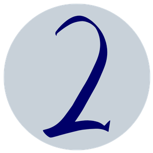Button Nr. 2
