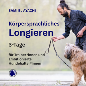 Körpersprachliches Longieren 