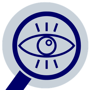 Blickführung