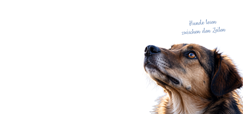 hund ohne hg