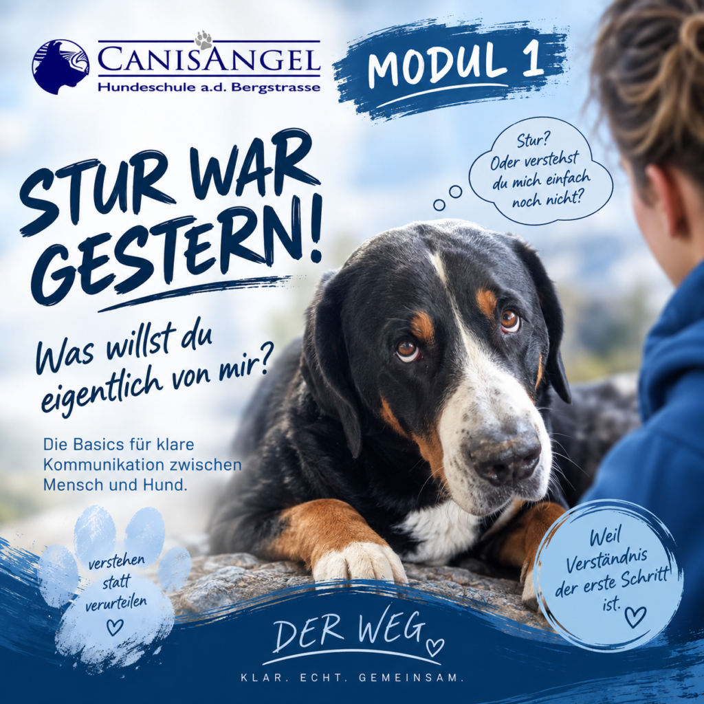 Modul 1 – Stur war gestern!