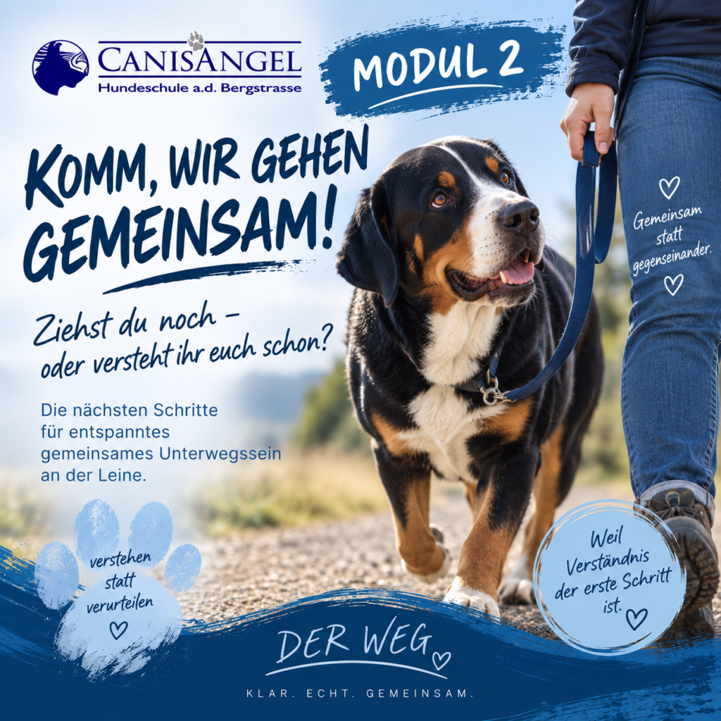 Modul 2 – Komm, wir gehen gemeinsam!