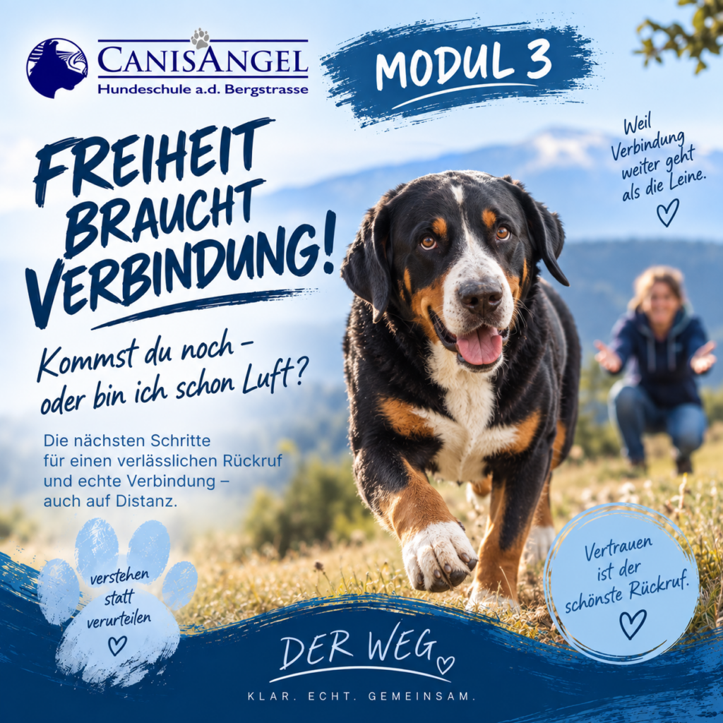 Modul 3 – Freiheit braucht Verbindung!