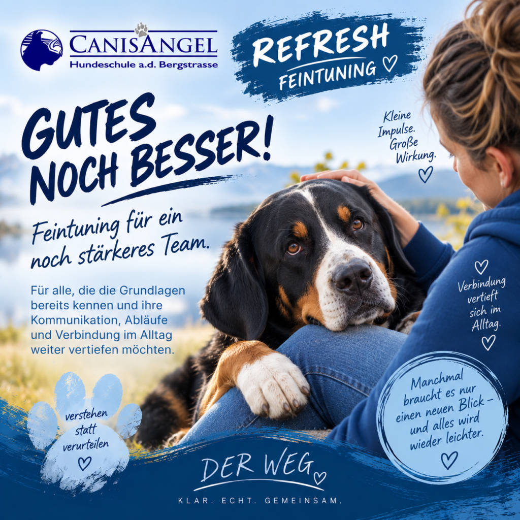 Refresh – Feintuning
