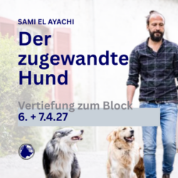 Aufbau zum Block