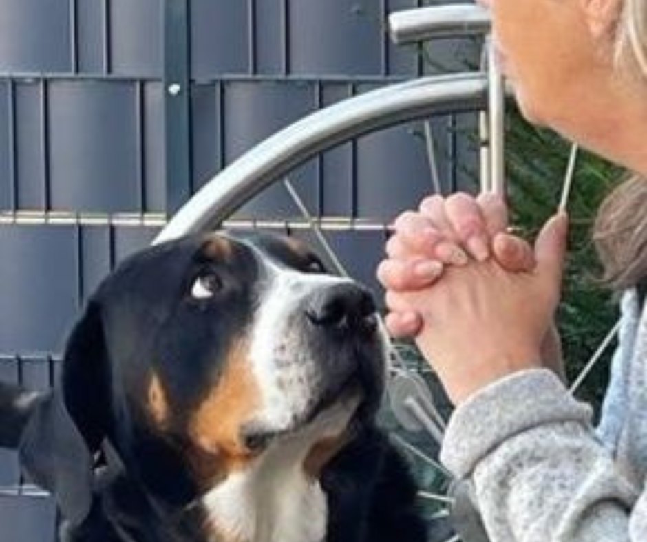Gusti und ich